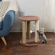 Image result for Scratching Posts for Cats