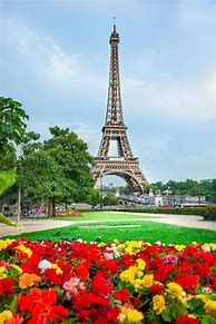 Image result for Paris Eiffel Tower Flowers