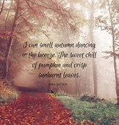 Image result for Breezy Fall Day