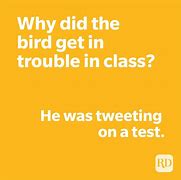 Image result for Funniest Short Joke of the Day