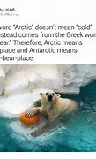 Image result for Crazy Fun Facts