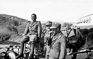 Image result for Black German Soldiers in WW2