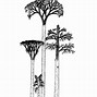 Image result for Carboniferous Scale Trees