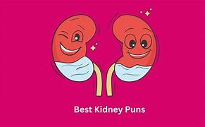 Image result for Kidney Bean Joke
