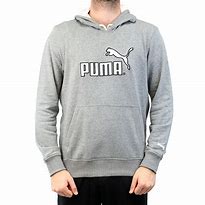 Image result for Men's Puma Hoodies