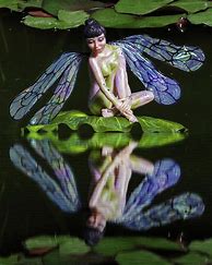 Image result for Dragonfly Fairy Art