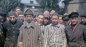 Image result for Charlotte Klein Concentration Camp Guard