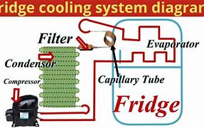 Image result for Fridge Cooling System