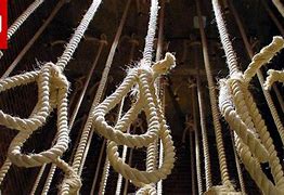 Image result for Famous Hanging Executions