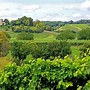Image result for Le Paradis Cellar