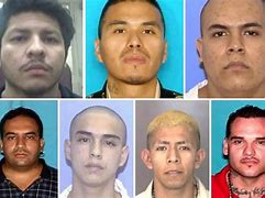 Image result for California Wanted Suspect