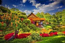 Japanese Flower Garden Wallpapers Top Free Japanese Flower Garden