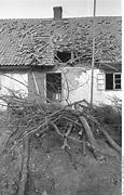 Image result for Nemmersdorf Atrocities
