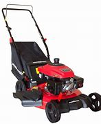 Image result for Highest-Rated Gas Push Lawn Mowers
