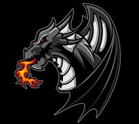Image result for Dragon Box Logo