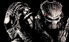 Image result for Alien vs Predator HD Wallpaper