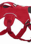 Image result for Harness for 3 Legged Dogs