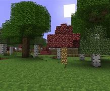 Image result for Minecraft Nether Wood