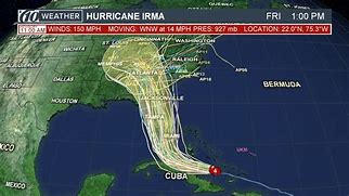Image result for Irma Grese Death Scene