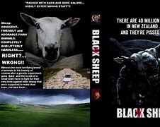 Image result for Black Sheep Orca