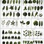 Image result for Leaf Identification Guide with Pictures