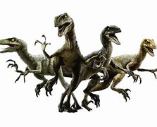 Image result for All Raptors Names in Jurassic World