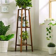 Image result for Indoor Plant Stands and Planters
