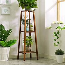 Image result for Plant Stands for Indoor Plants
