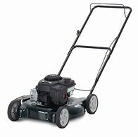 Image result for Walmart Lawn Mower Gas Filters