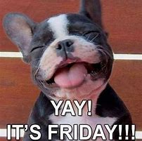 Image result for Happy Friday Meme Cute Funny