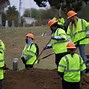 Image result for Buried Documentary