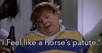 Image result for Chris Farley Customer Quote