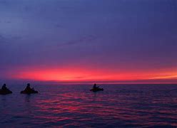 Image result for Baltic Sea Swimming