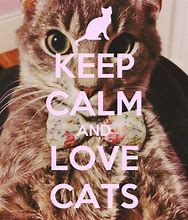 Image result for Keep Calm and Love Tabby Cats