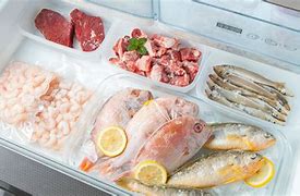 Image result for Deep Freezer with Meats