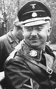 Image result for Heinrich Himmler Capture