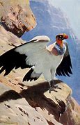 Image result for Condor Art War of the World's