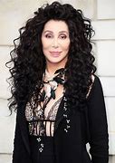 Image result for Cher Artiste