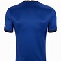 Image result for Chelsea FC Jersey