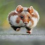 Image result for The Most Funniest Animals Ever