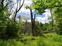 Image result for North and South Lake Catskill