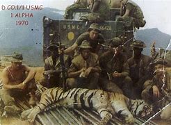 Image result for Tiger Force Vietnam War Crimes
