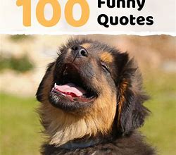 Image result for Witty Funny Things to Say