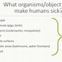 Image result for Difference Between Bacteria Fungi and Viruses