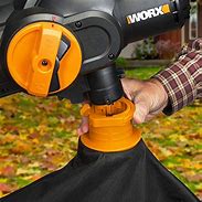 Image result for Worx TriVac 2