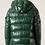 Image result for Moncler Green Jacket