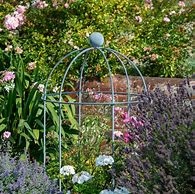 Image result for Lobster Pot Plant Supports