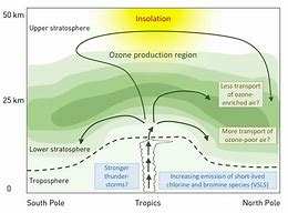 Image result for Stratospheric Ozone