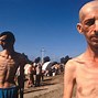 Image result for The Bosnian War