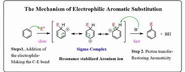 Image result for Electrophilic Aromatic Substitution